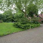 Rent 1 bedroom apartment of 40 m² in groningen