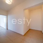 Pronajměte si 2 ložnic/e byt o rozloze 52 m² v Prague