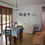 Rent 3 bedroom apartment of 65 m² in Pisa