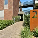 Rent 2 bedroom apartment of 66 m² in Nijmegen