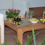 Carrer, Barcelona - Amsterdam Apartments for Rent