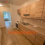 Rent 1 bedroom apartment of 24 m² in Karviná