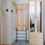 Rent 1 bedroom apartment in Hradec Králové