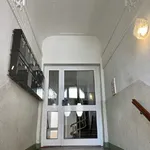 Rent 2 bedroom apartment of 45 m² in Chemnitz