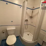 Rent 1 bedroom apartment in Brno