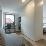 Rent 2 bedroom apartment of 65 m² in Porto