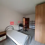 Rent 5 bedroom apartment of 90 m² in Pisa