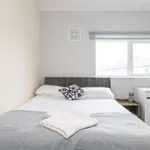 Rent a room in dublin