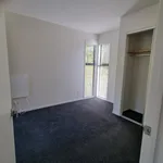 Rent 3 bedroom house in Kawerau District