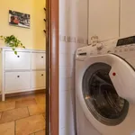 Rent 1 bedroom apartment in milan