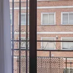 Rent a room of 240 m² in madrid