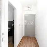 Rent 1 bedroom apartment of 46 m² in Ostrava