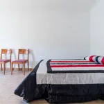 Rent 4 bedroom apartment in Valencia