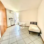 Rent 1 bedroom apartment of 42 m² in Lodi