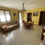 Rent 3 bedroom house of 140 m² in ponte san nicolo