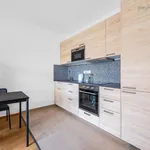 Rent 1 bedroom apartment of 35 m² in Capital City of Prague