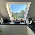 Rent 2 bedroom apartment of 80 m² in Düsseldorf