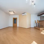 Pronajměte si 4 ložnic/e byt o rozloze 146 m² v Prague