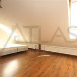 Rent 3 bedroom apartment of 133 m² in Prague