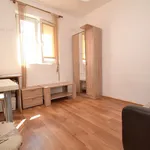 Rent 1 bedroom apartment of 15 m² in Timișoara