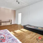 Rent 2 bedroom apartment in Chodov