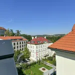 Pronajměte si 4 ložnic/e byt o rozloze 257 m² v Prague