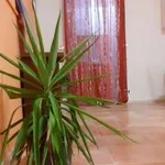 Rent 3 bedroom apartment of 60 m² in Naples