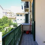 Rent 5 bedroom apartment of 130 m² in Pisa