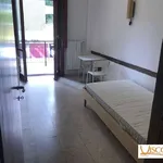 Rent 1 bedroom apartment of 29 m² in Milano