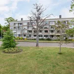 Wilhelminaparkflat, Zeist - Amsterdam Apartments for Rent