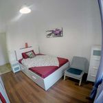 Rent a room in Firenze