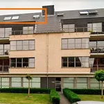 Rent 1 bedroom apartment in OUDENAARDE