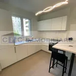 Rent 2 bedroom apartment of 61 m² in Segrate