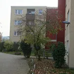 Rent 3 bedroom apartment of 84 m² in Weißenthurm