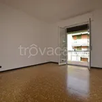 Rent 3 bedroom apartment of 100 m² in Brugherio