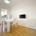 Rent 2 bedroom apartment of 55 m² in Turin