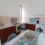 Rent 2 bedroom apartment of 60 m² in Brindisi