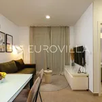 Rent 1 bedroom apartment in City of Zagreb