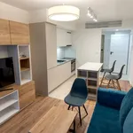 Rent 2 bedroom apartment of 35 m² in Katowice