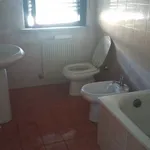 Rent 2 bedroom apartment of 165 m² in udine