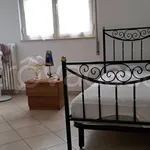 Rent 4 bedroom apartment of 130 m² in Brindisi