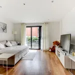 Rent 1 bedroom flat in Brighton