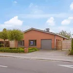 Huur 3 slaapkamer huis van 540 m² in Moorsele