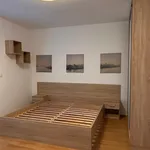 Rent 2 bedroom apartment of 44 m² in Trhový Štěpánov