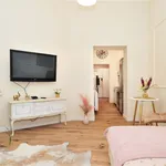 Rent 1 bedroom apartment of 34 m² in Centrum