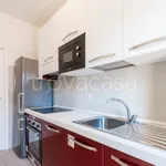 Rent 1 bedroom apartment of 45 m² in Milano