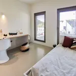 Rent 1 bedroom apartment in Leuven