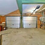 Huur 3 slaapkamer huis van 2591 m² in BEERSEL