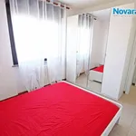 Rent 2 bedroom apartment of 36 m² in Novara