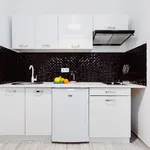 Rent 1 bedroom apartment of 42 m² in Kraków